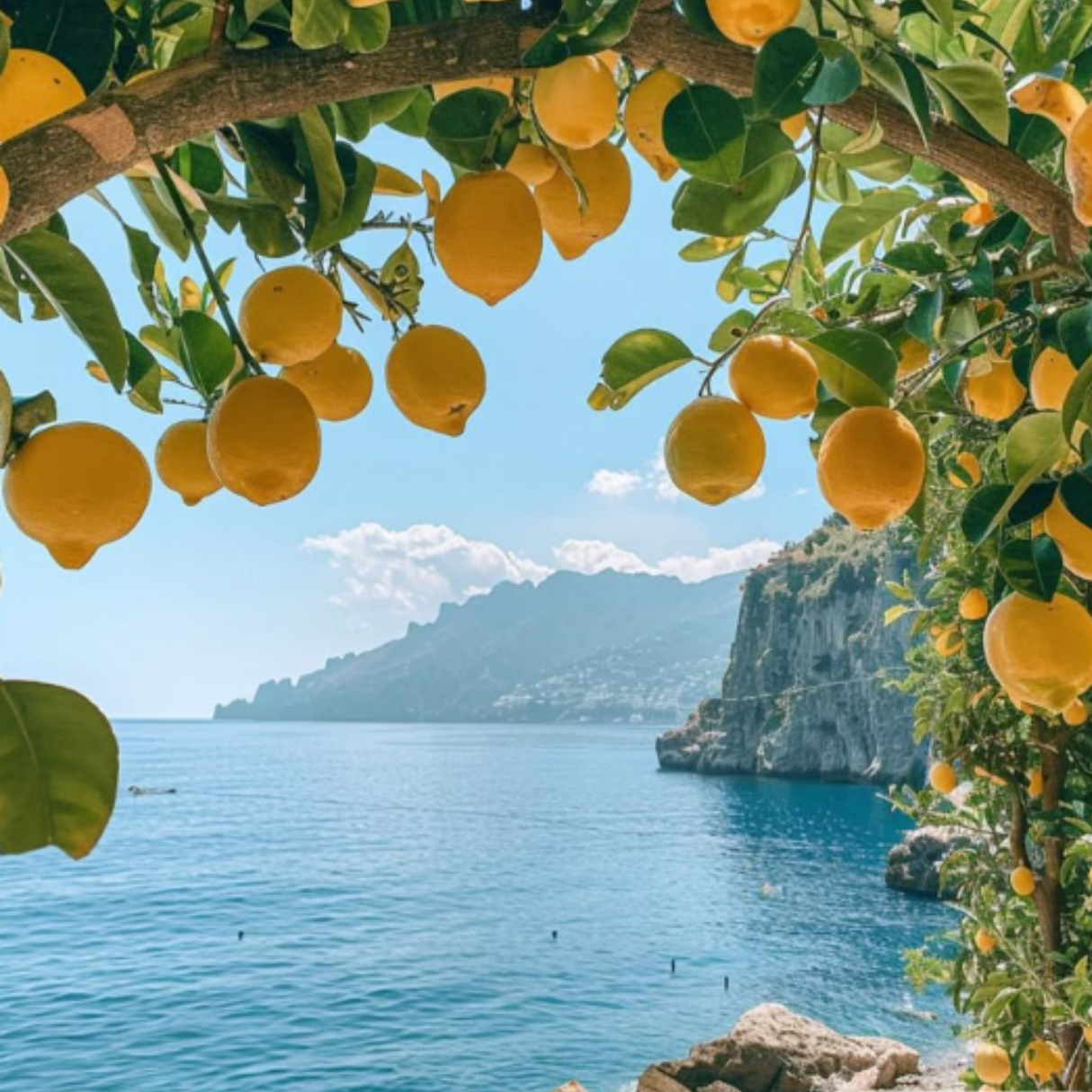 Citrus Lumière Cleanser